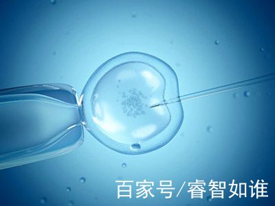 冰原生殖医学中心